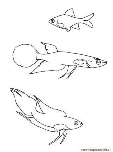 Read more about the article Desenhos de peixes para imprimir grátis 07